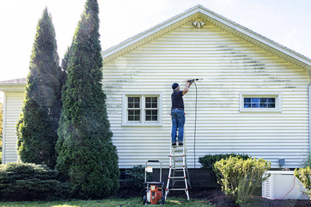 Best Commercial Building Pressure Washing  in Collierville, TN