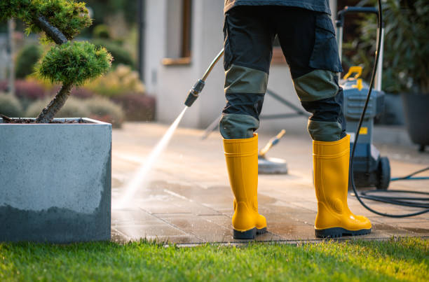 Best Residential Pressure Washing Services  in Collierville, TN